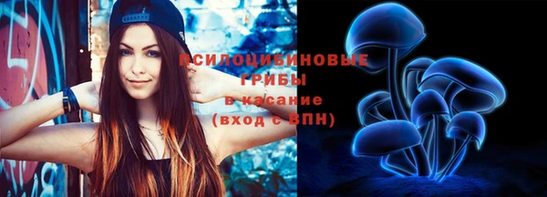 ECSTASY Богородицк