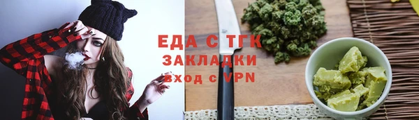 индика Богородск