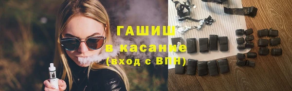 индика Богородск
