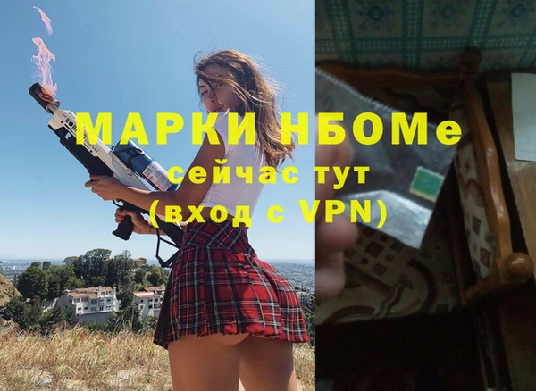 ECSTASY Богородицк