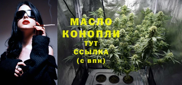 индика Богородск