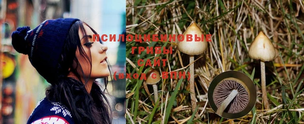 ECSTASY Богородицк