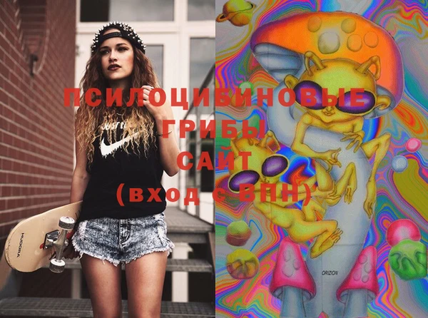 ECSTASY Богородицк