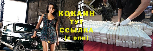индика Богородск
