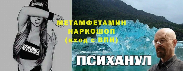 индика Богородск