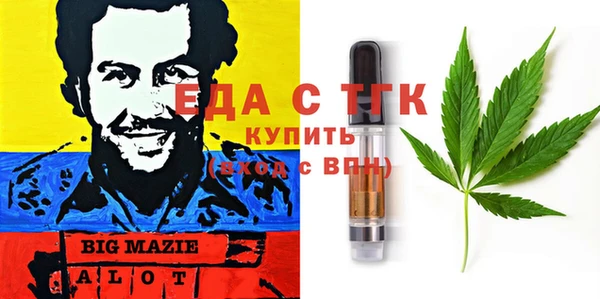 индика Богородск