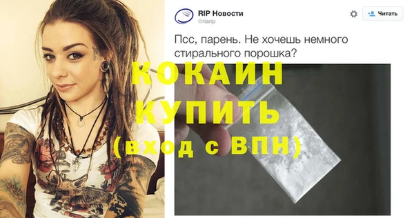 индика Богородск