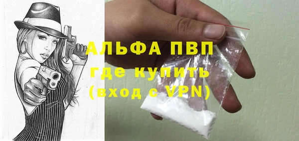 индика Богородск